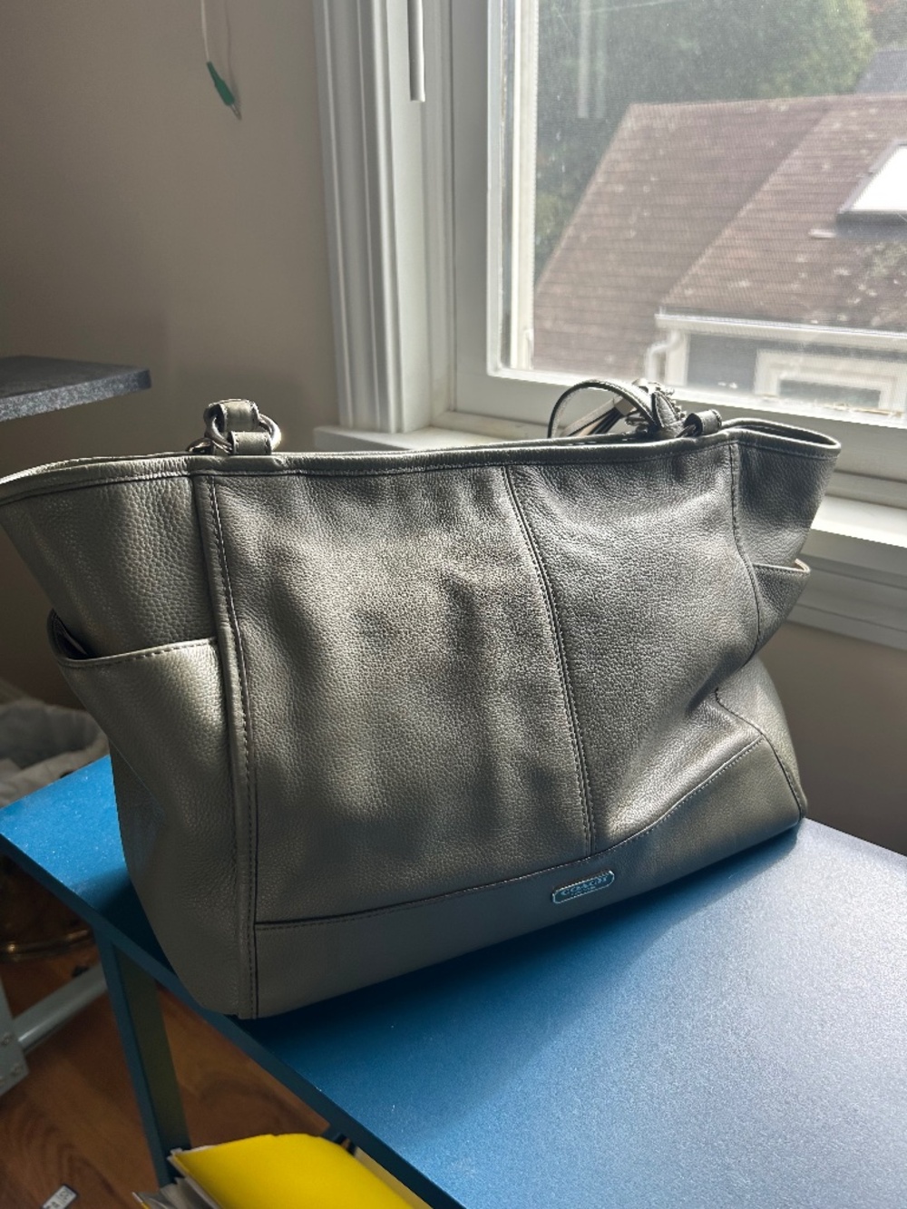 Coach leather bag